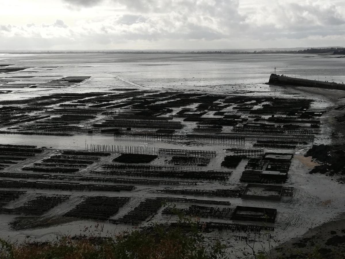 Chambres D'Hotes Les Fleurettes En Baie Du Mont Saint Michel Exterior foto